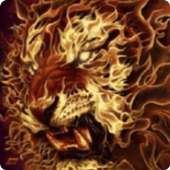 3D Flaming lion live wallpaper on 9Apps