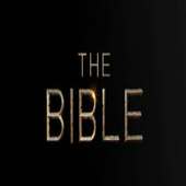 The Bible Project-Jon & Tim