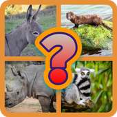 Guess the animal, puzzle.