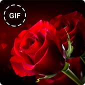 صور ورود متحركة GIF on 9Apps