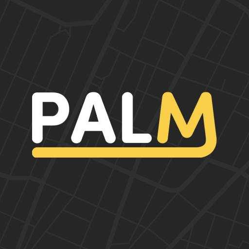 Palm – Electric Scooter