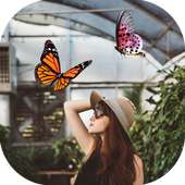 Butterfly Live Photo Editor