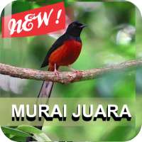 Master Murai Batu on 9Apps