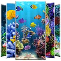 Coral Reef Wallpaper