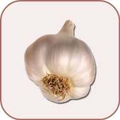 Best Garlic Health Benefits