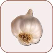 Best Garlic Health Benefits