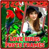 Love Birds Photo Frames on 9Apps