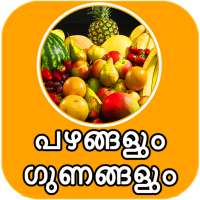 All Fruit Name And Its Benefit on 9Apps