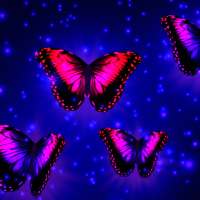 Vivid Butterflies Live Wallpaper