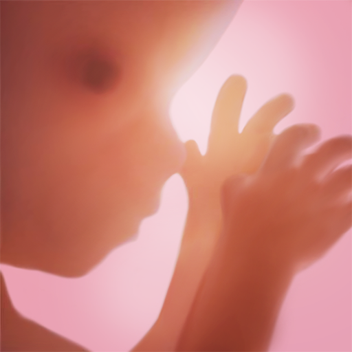 Pregnancy   | Tracker App icon