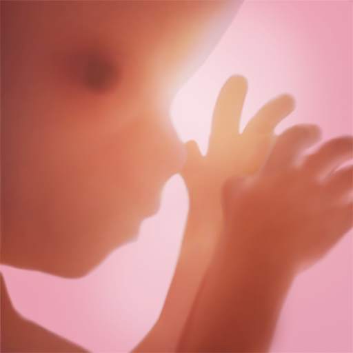 Pregnancy   | Tracker App
