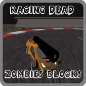 Survival Zombie Road Blocks