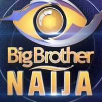 BBNaija Live - Big Brother Naija update
