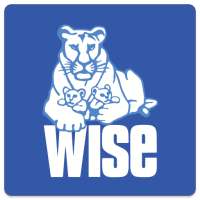 WISE Online - приложение WISE