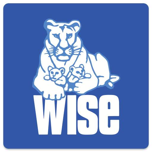 WISE Online - приложение WISE