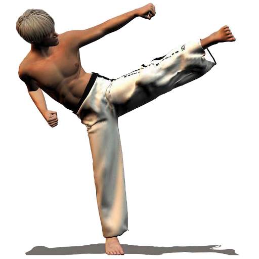 Taekwondo Forms (Sponsored)