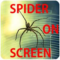 Spider On Screen Prank