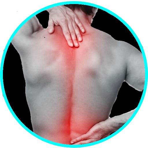 Back Pain Relief Exercises