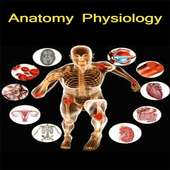 Anatomy Physiology Hindi on 9Apps