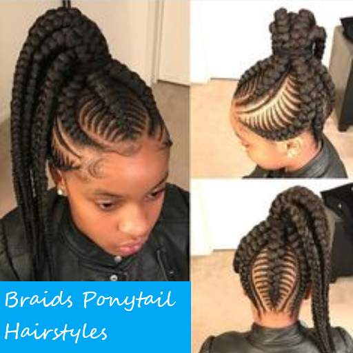 Braids Ponytail Hairstyles
