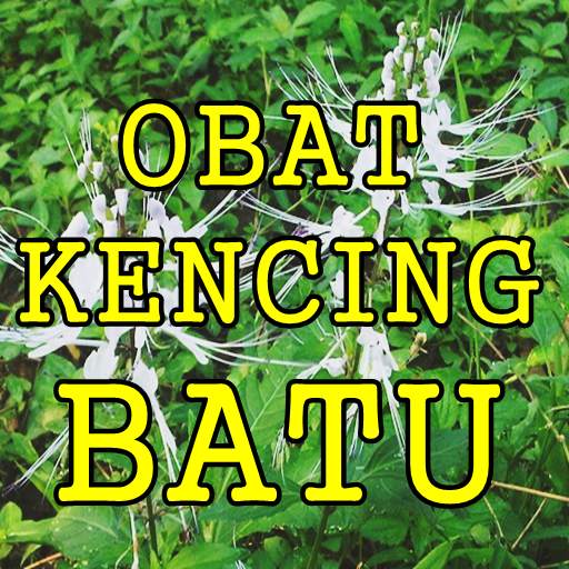 Mengobati Kencing Batu Dengan Ramuan Tradisional