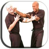 Best Wing Chun Technique on 9Apps