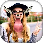 Funny Face Decoration on 9Apps