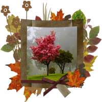 Cadre photo d'automne