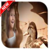 Duck Photo frame on 9Apps