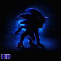 Wallpapers For Hedgehog HD 4K on 9Apps