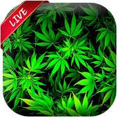 Weed Live Wallpaper