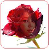 red rose frame transparent on 9Apps