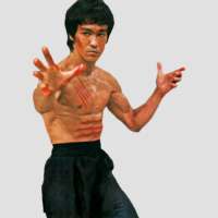 Martial Arts - Skill in Techni on 9Apps