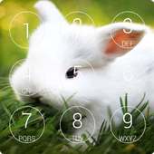 Bunnies Lock Screen