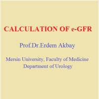 Estimated Glomerular Filtration Rate