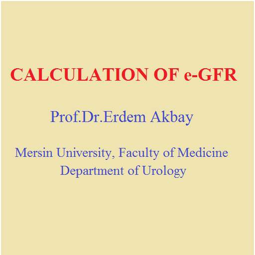 Estimated Glomerular Filtration Rate