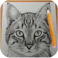 Come Disegnare Gatti