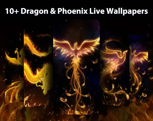 Tải xuống ứng dụng Dragon Phoenix Live Wallpapers Themes 2023 - Miễn phí -  9Apps