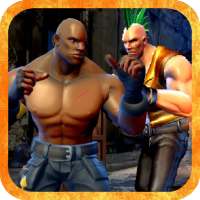 The Real Of Street King Fighters