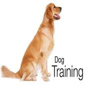 Dog training on 9Apps