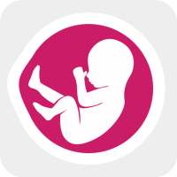 Pregnancy Kick Counter - Monitor baby movements on 9Apps