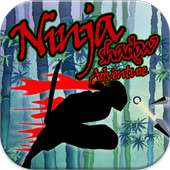 Ninja Shadow Running to Fight