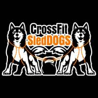 CrossFit Sleddogs on 9Apps