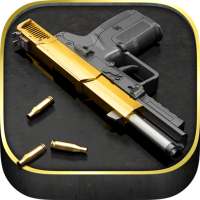iGun Pro -The Original Gun App