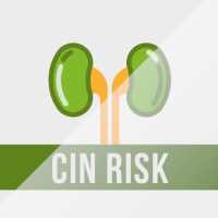 CIN Risk