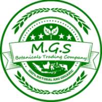 MGS Borneo