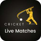 Cricket Live Matches