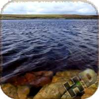 Water HD Video Live Wallpaper on 9Apps