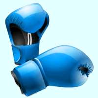 Box At Home: Shadow Boxing / Bag Training Workouts