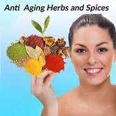 Anti Aging Herbs and Spices